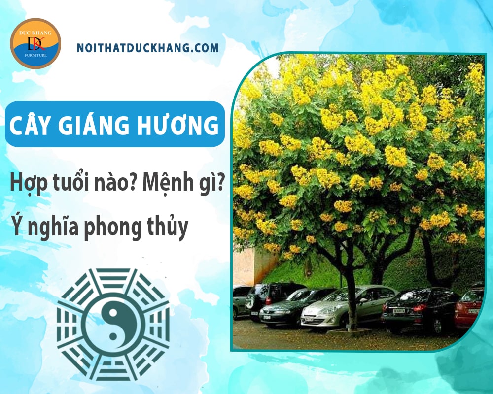 Cây giáng hương hợp tuổi nào? Mệnh gì? Ý nghĩa phong thủy?