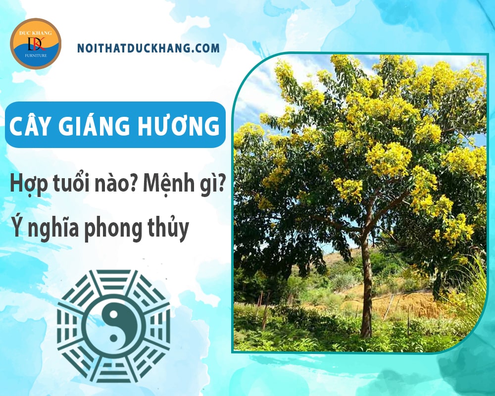 Cây giáng hương hợp tuổi nào? Mệnh gì? Ý nghĩa phong thủy?