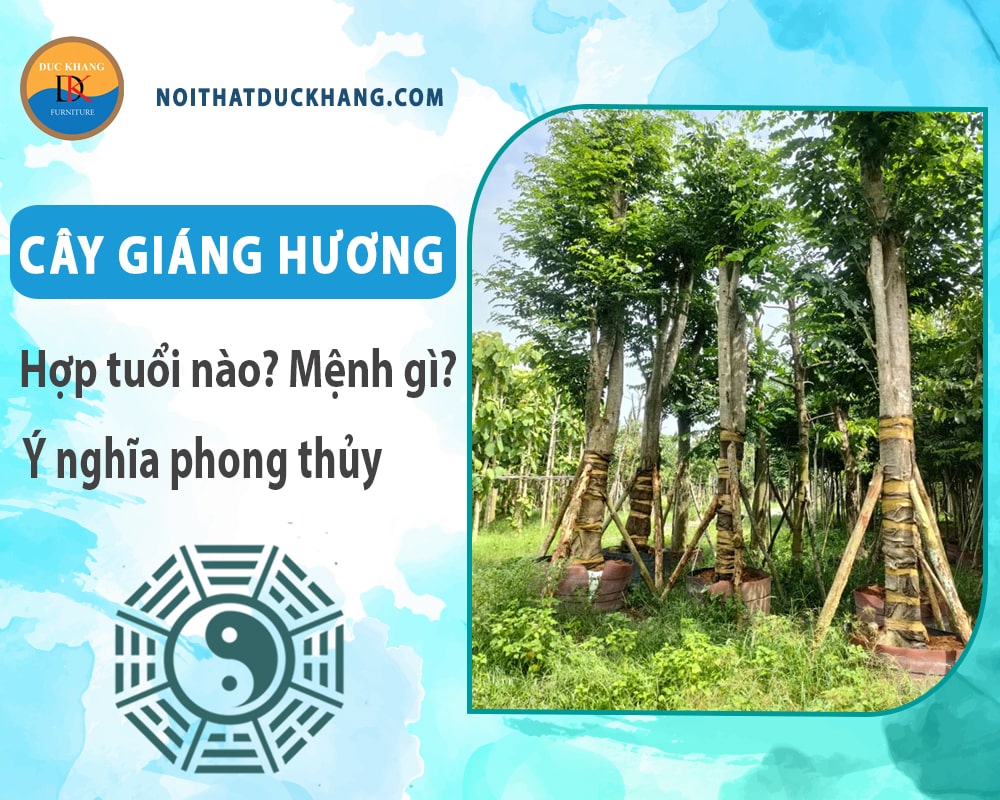 Cây giáng hương hợp tuổi nào? Mệnh gì? Ý nghĩa phong thủy?