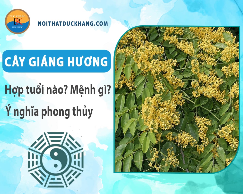 Cây giáng hương hợp tuổi nào? Mệnh gì? Ý nghĩa phong thủy?