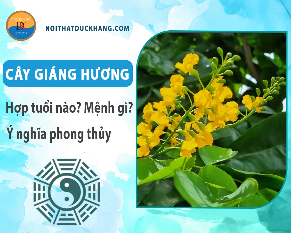 Cây giáng hương hợp tuổi nào? Mệnh gì? Ý nghĩa phong thủy?