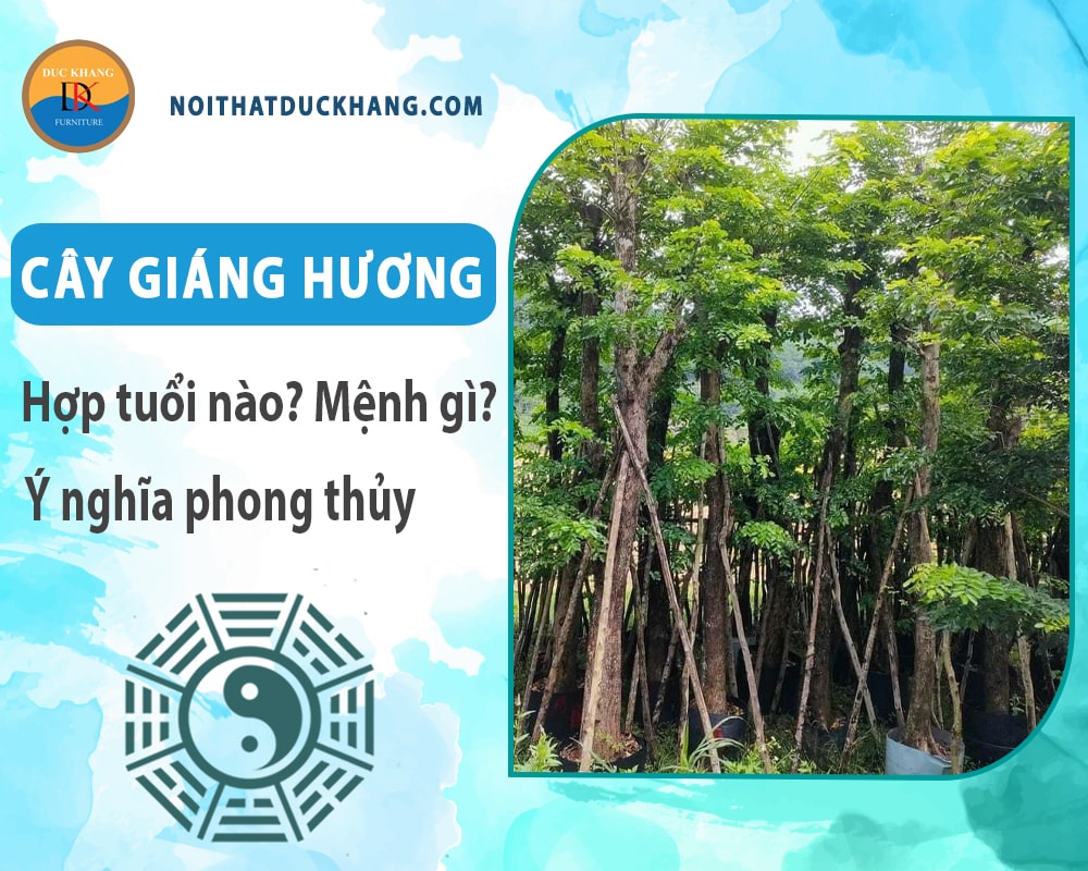 Cây giáng hương hợp tuổi nào? Mệnh gì? Ý nghĩa phong thủy?