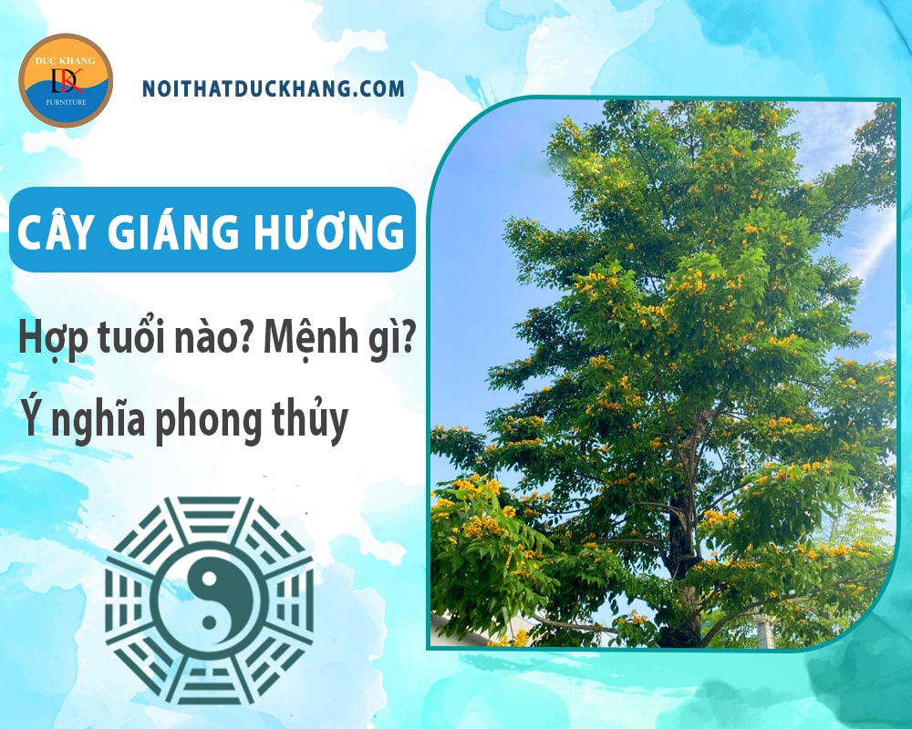 Cây giáng hương hợp tuổi nào? Mệnh gì? Ý nghĩa phong thủy?