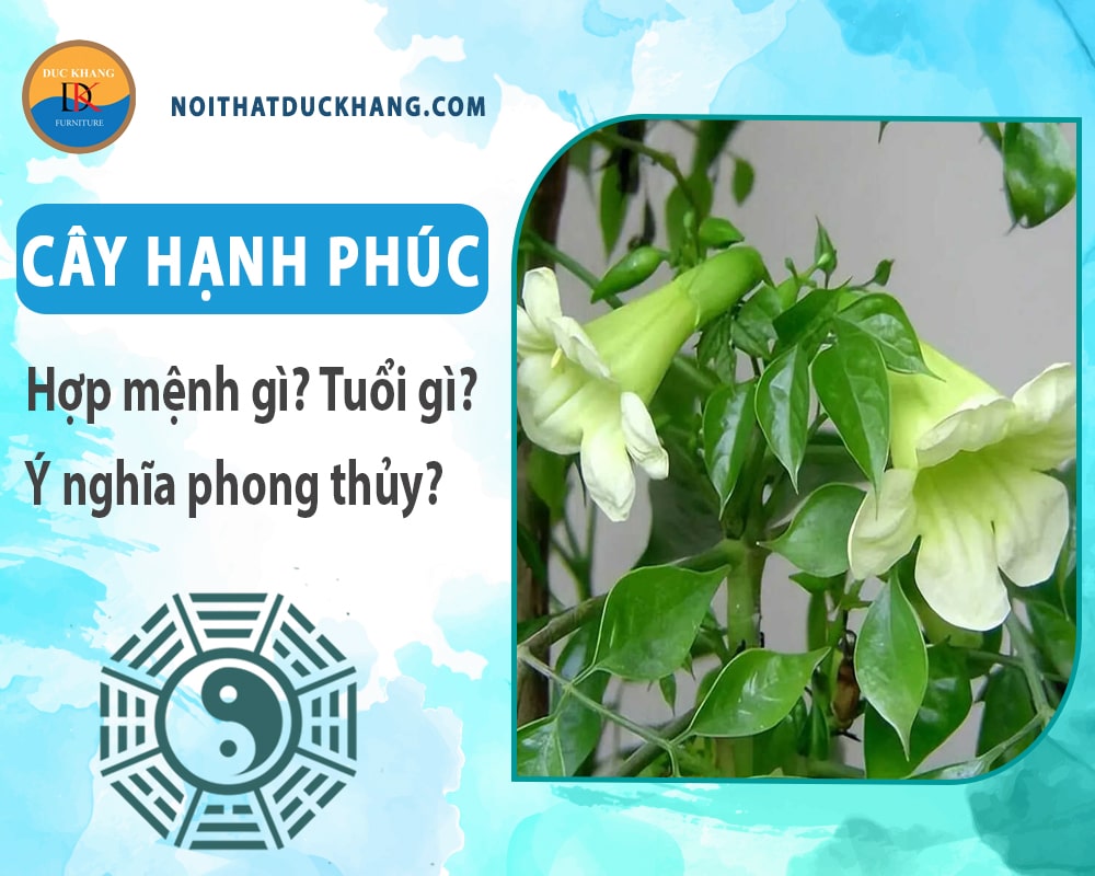 Cây hạnh phúc hợp mệnh gì? Tuổi gì? Ý nghĩa phong thủy?