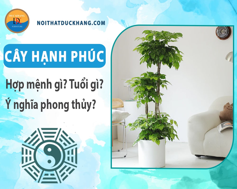 Cây hạnh phúc hợp mệnh gì? Tuổi gì? Ý nghĩa phong thủy?