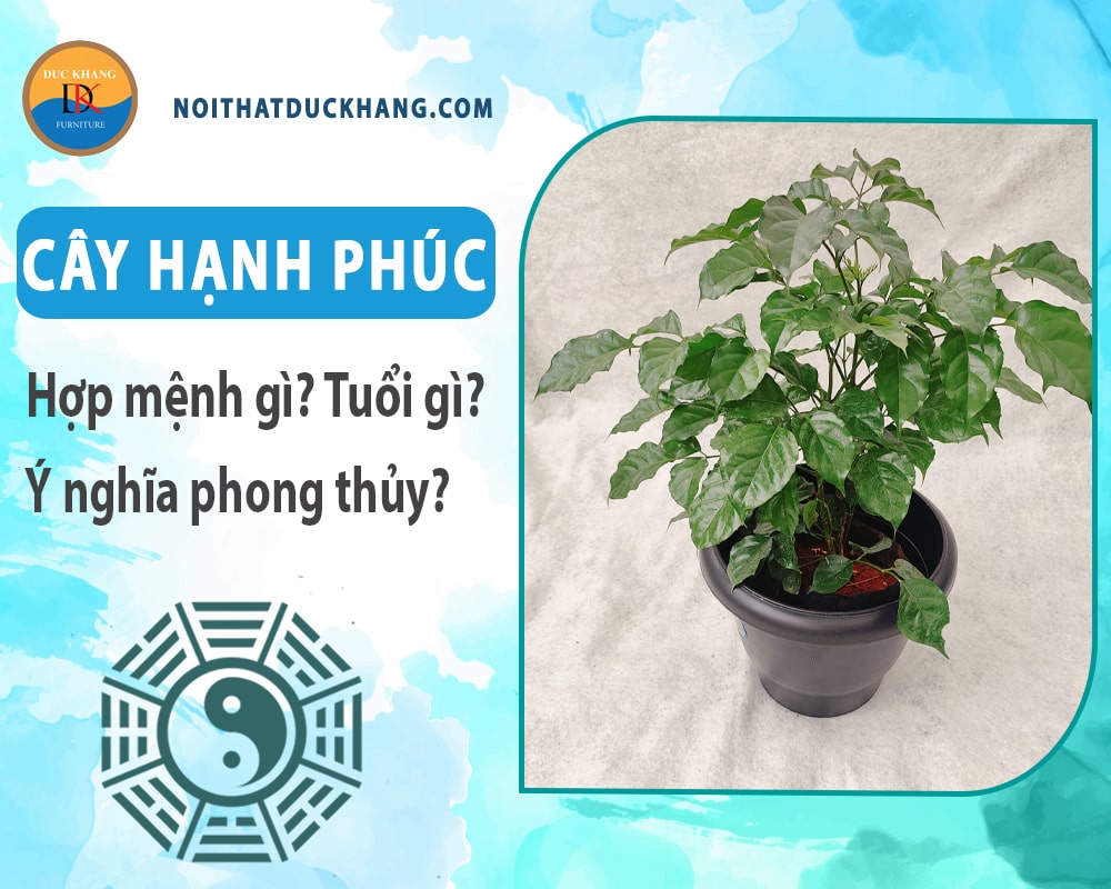 Cây hạnh phúc hợp mệnh gì? Tuổi gì? Ý nghĩa phong thủy?