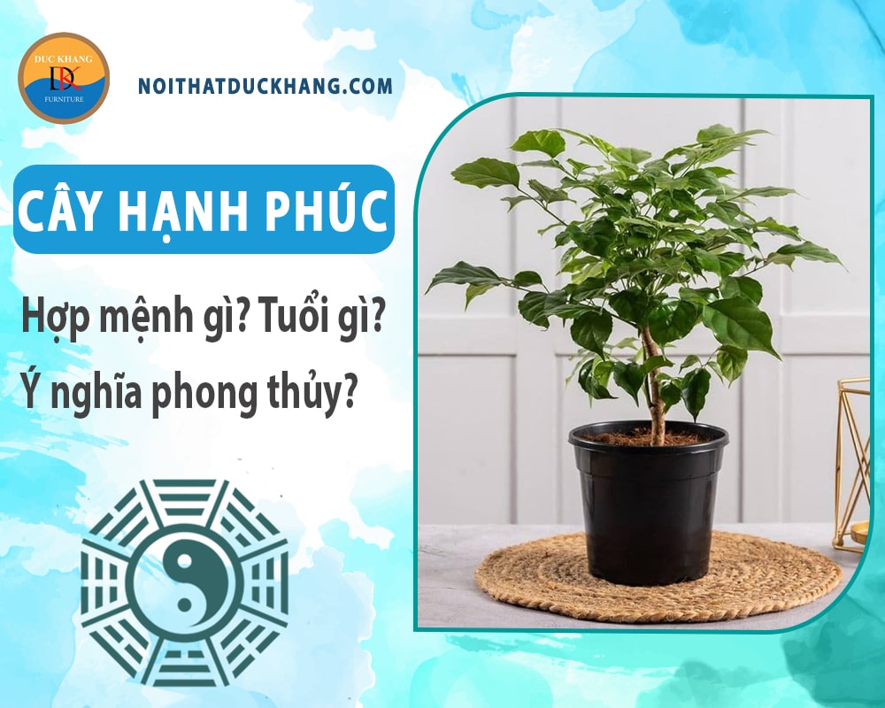 Cây hạnh phúc hợp mệnh gì? Tuổi gì? Ý nghĩa phong thủy?