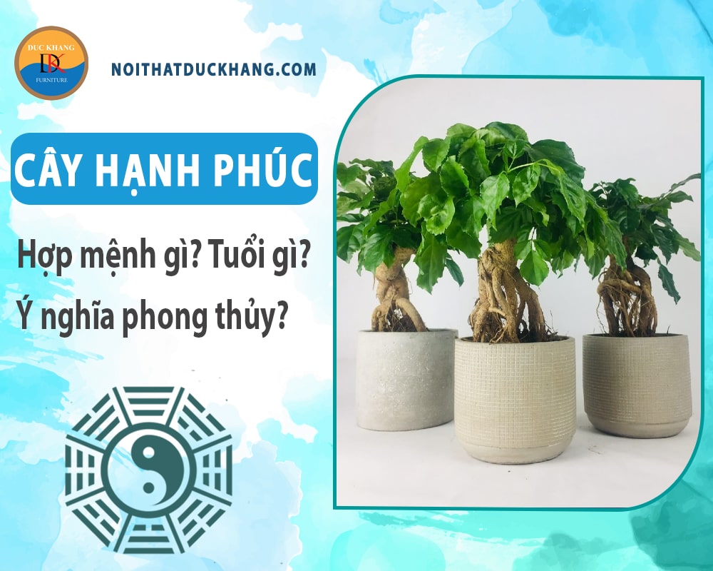 Cây hạnh phúc hợp mệnh gì? Tuổi gì? Ý nghĩa phong thủy?