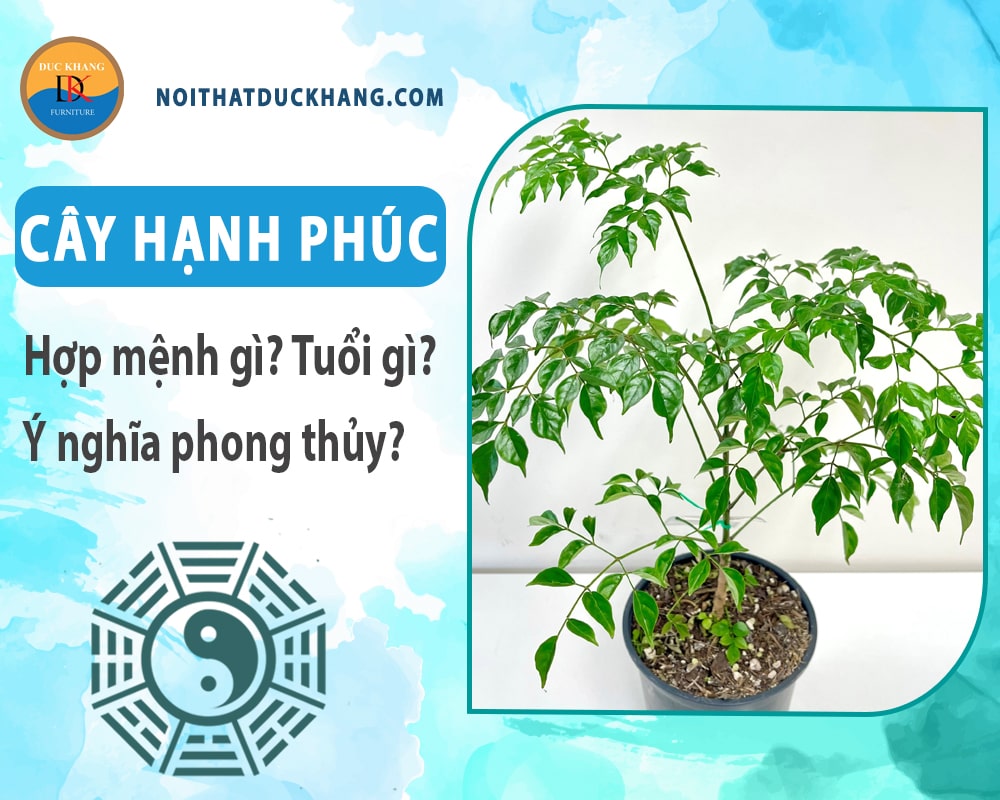 Cây hạnh phúc hợp mệnh gì? Tuổi gì? Ý nghĩa phong thủy?