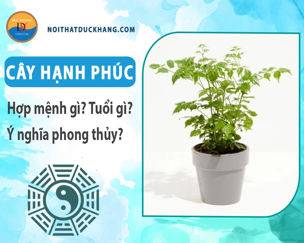 Cây hạnh phúc hợp mệnh gì? Tuổi gì? Ý nghĩa phong thủy?