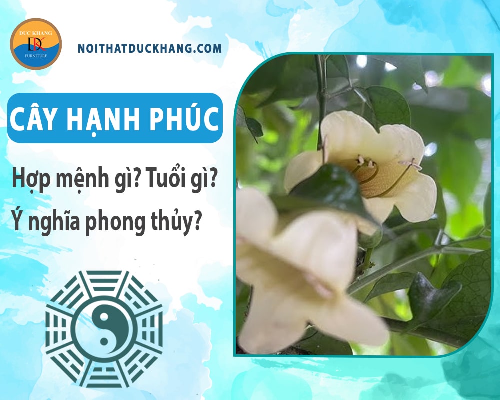 Cây hạnh phúc hợp mệnh gì? Tuổi gì? Ý nghĩa phong thủy?