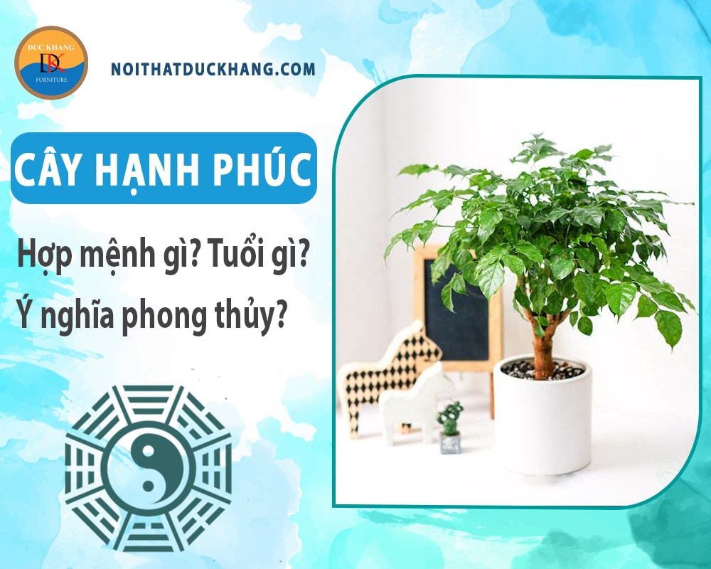 Cây hạnh phúc hợp mệnh gì? Tuổi gì? Ý nghĩa phong thủy?