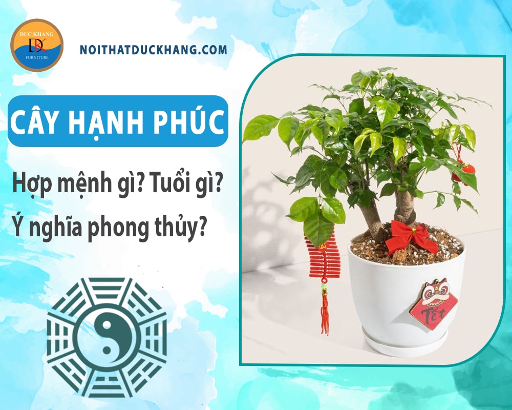 Cây hạnh phúc hợp mệnh gì? Tuổi gì? Ý nghĩa phong thủy?