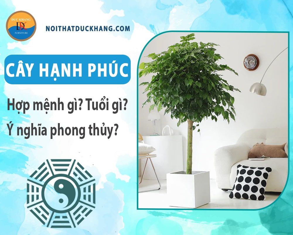 Cây hạnh phúc hợp mệnh gì? Tuổi gì? Ý nghĩa phong thủy?