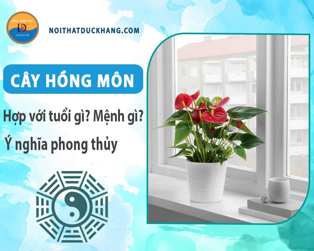 Cây hồng môn hợp tuổi gì? Mệnh gì? Ý nghĩa phong thủy?