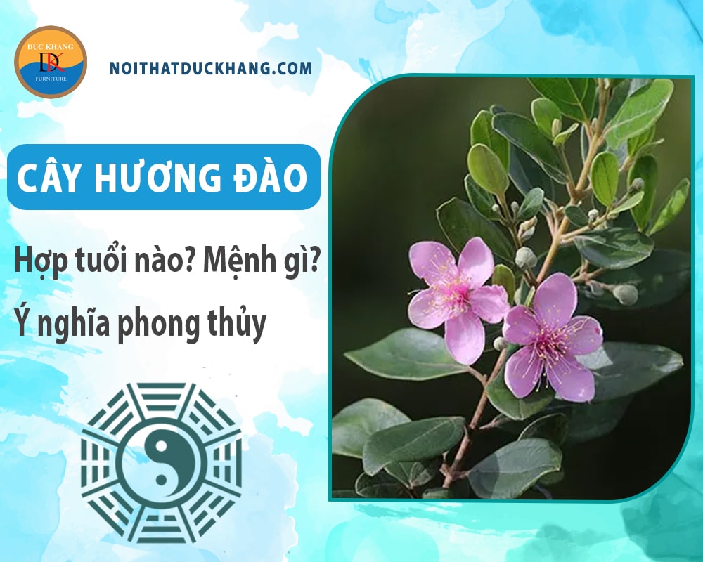 Cây hương đào hợp tuổi nào? Mệnh gì? Ý nghĩa phong thủy?