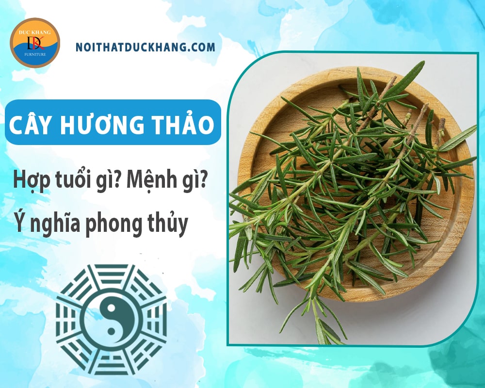 Cây hương thảo hợp tuổi nào? Mệnh gì? Ý nghĩa phong thủy? Cây hương thảo hợp tuổi nào? Mệnh gì? Ý nghĩa phong thủy?
