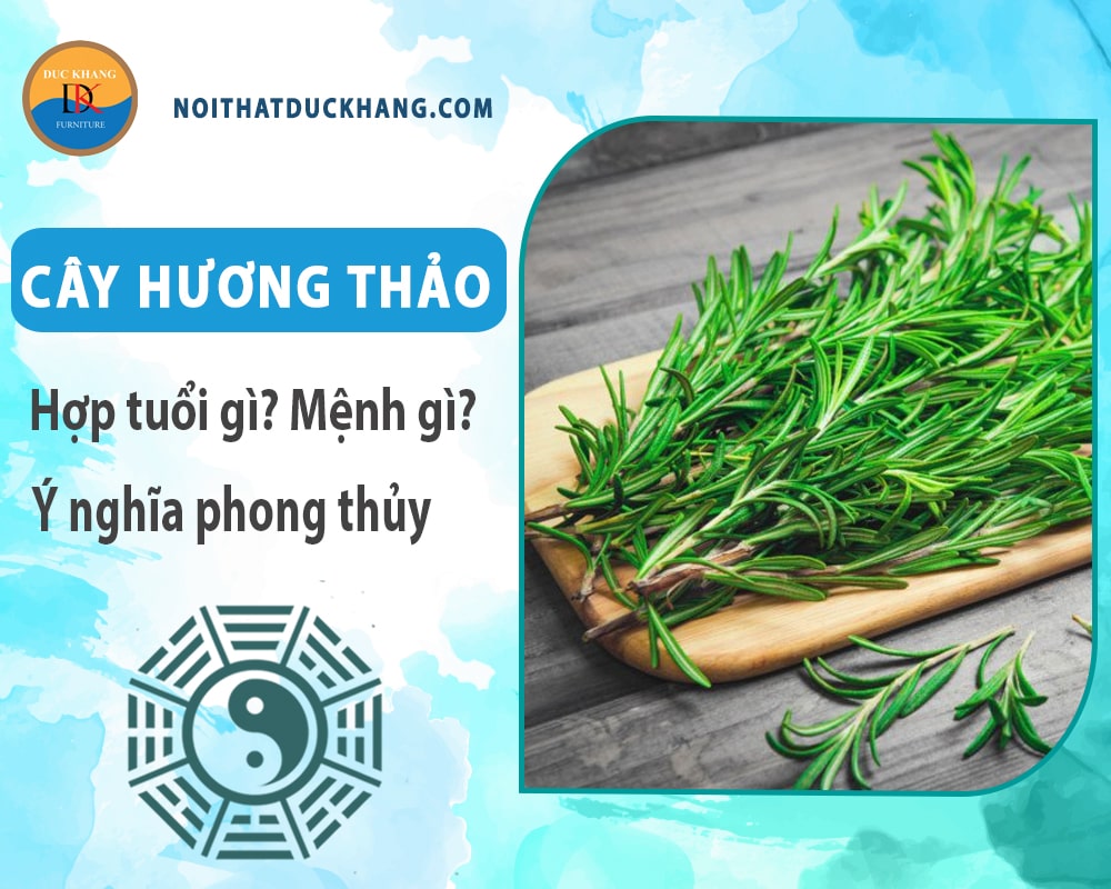 Cây hương thảo hợp tuổi nào? Mệnh gì? Ý nghĩa phong thủy? Cây hương thảo hợp tuổi nào? Mệnh gì? Ý nghĩa phong thủy?