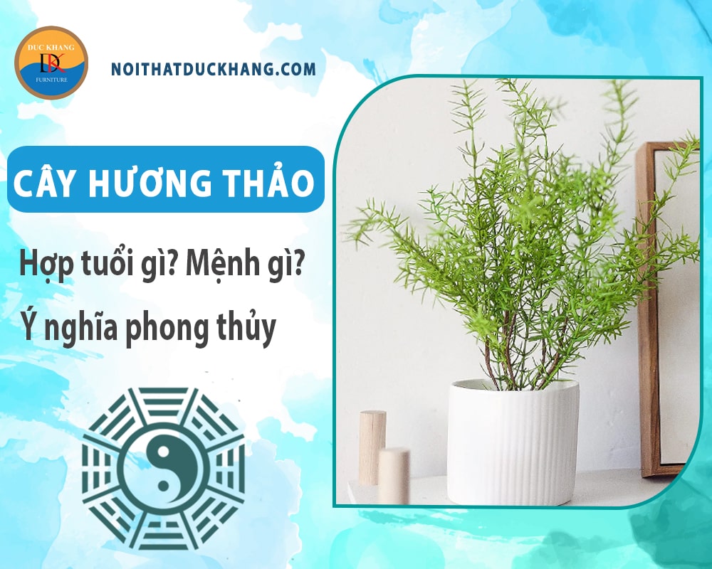 Cây hương thảo hợp tuổi nào? Mệnh gì? Ý nghĩa phong thủy? Cây hương thảo hợp tuổi nào? Mệnh gì? Ý nghĩa phong thủy?