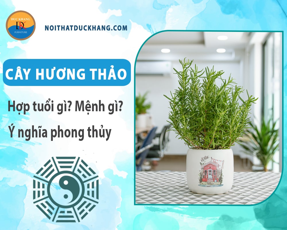 Cây hương thảo hợp tuổi nào? Mệnh gì? Ý nghĩa phong thủy?