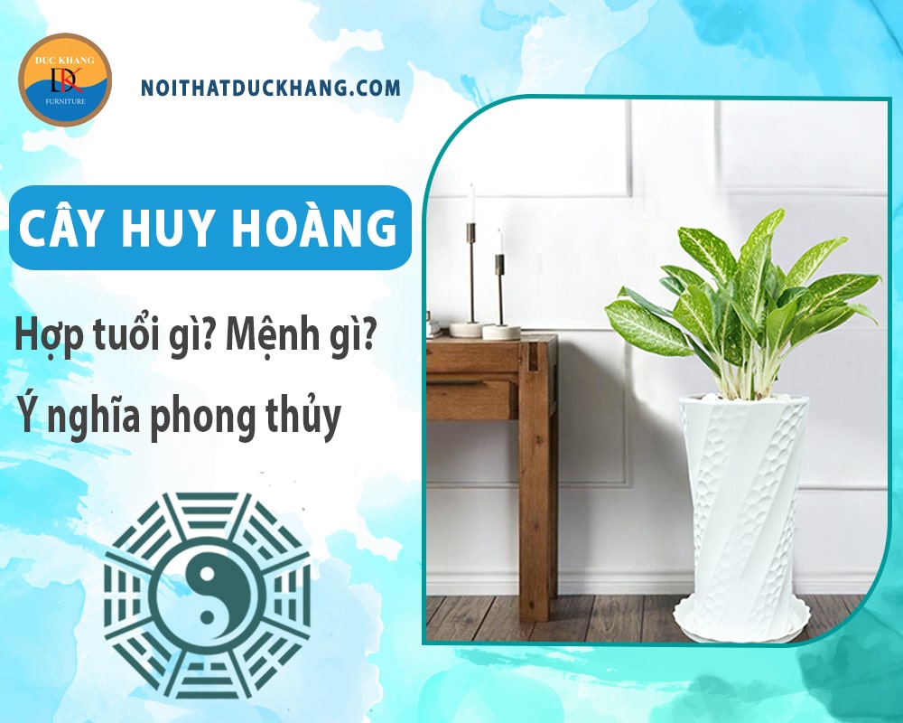 Cây huy hoàng hợp tuổi gì? Mệnh gì? Ý nghĩa phong thủy?