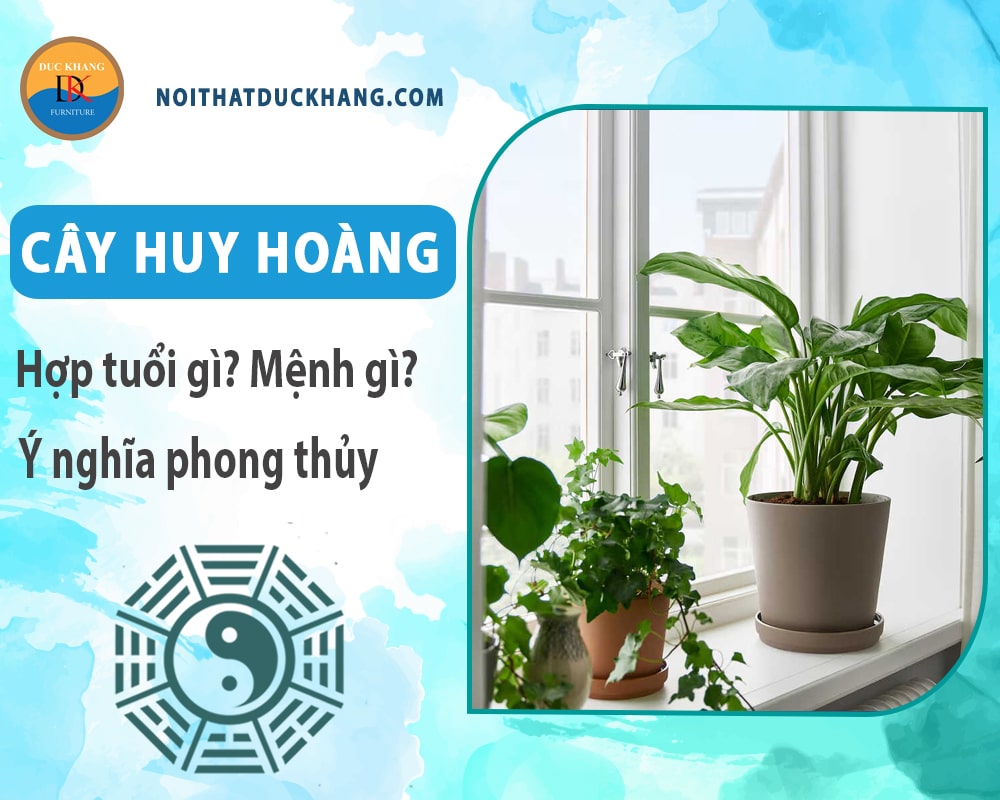 Cây huy hoàng hợp tuổi gì? Mệnh gì? Ý nghĩa phong thủy?