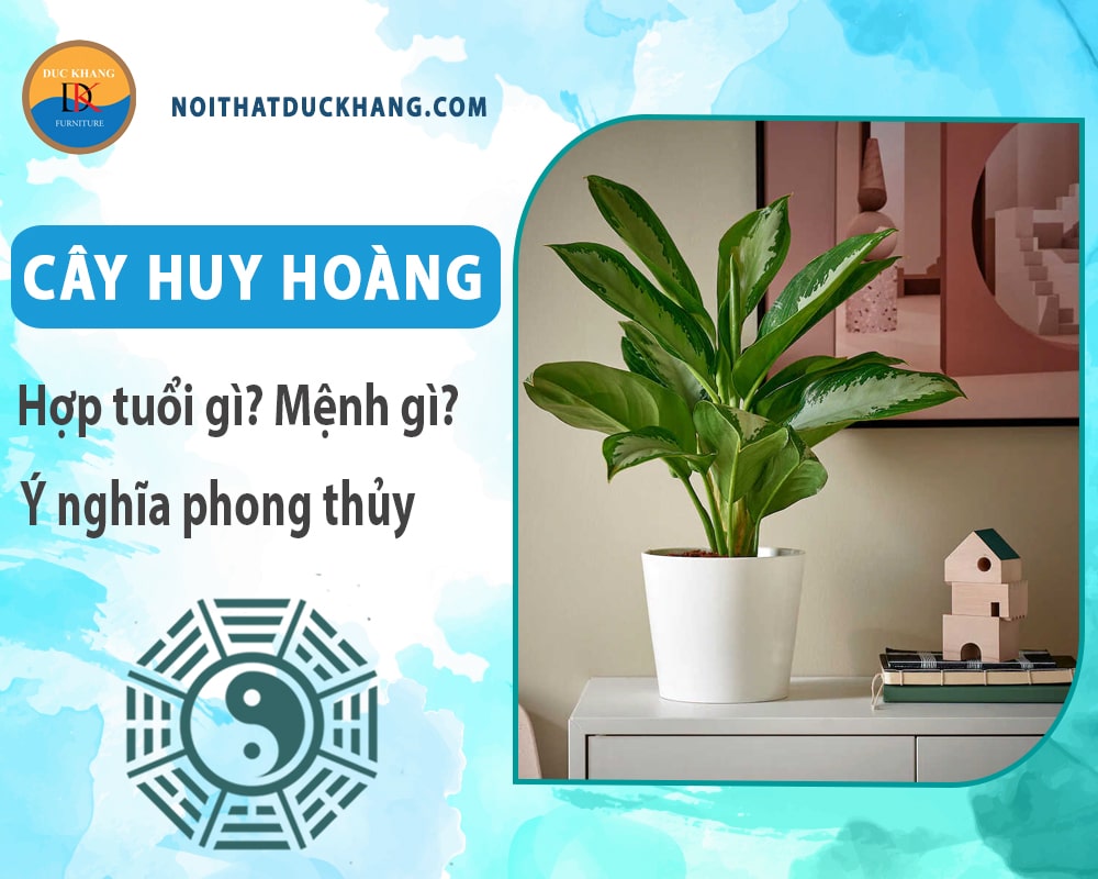 Cây huy hoàng hợp tuổi gì? Mệnh gì? Ý nghĩa phong thủy?