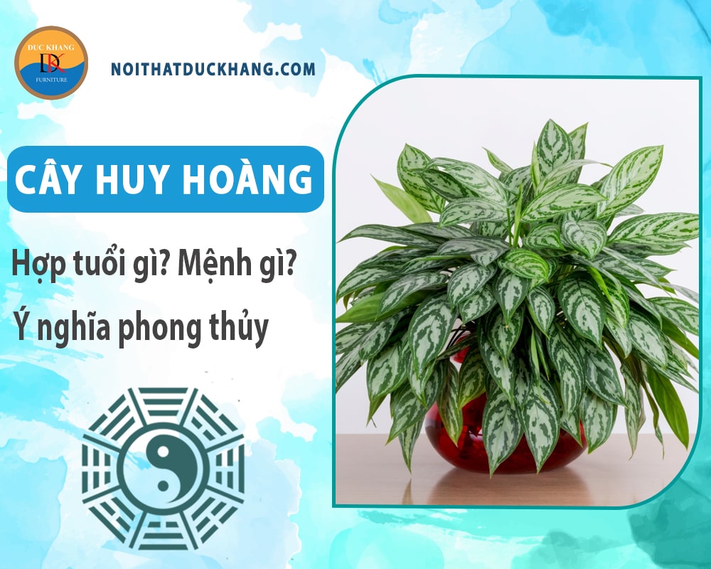 Cây huy hoàng hợp tuổi gì? Mệnh gì? Ý nghĩa phong thủy?