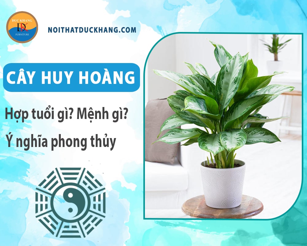 Cây huy hoàng hợp tuổi gì? Mệnh gì? Ý nghĩa phong thủy?