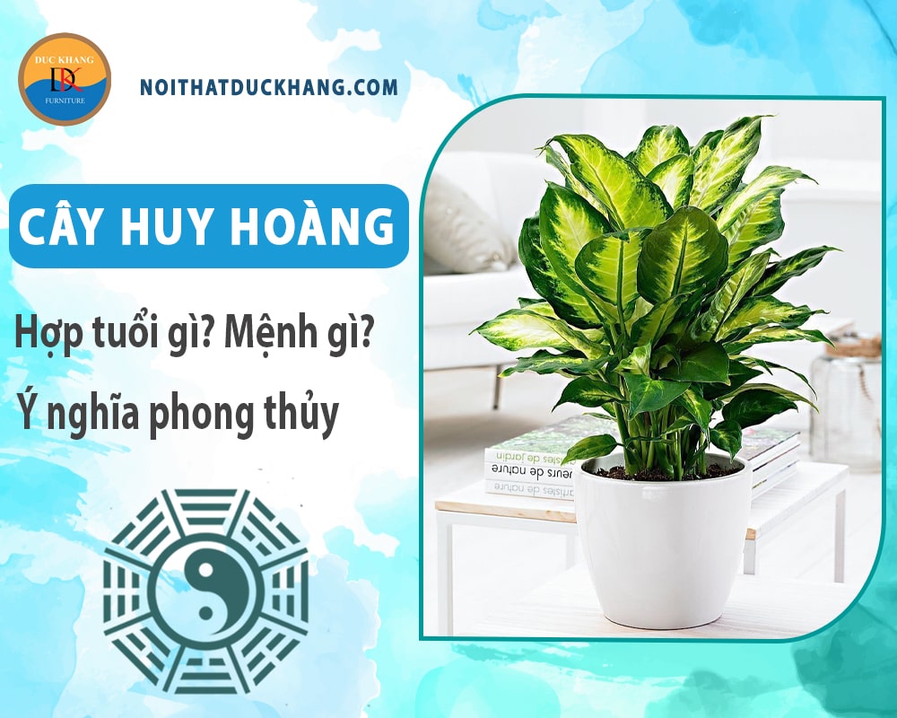 Cây huy hoàng hợp tuổi gì? Mệnh gì? Ý nghĩa phong thủy?