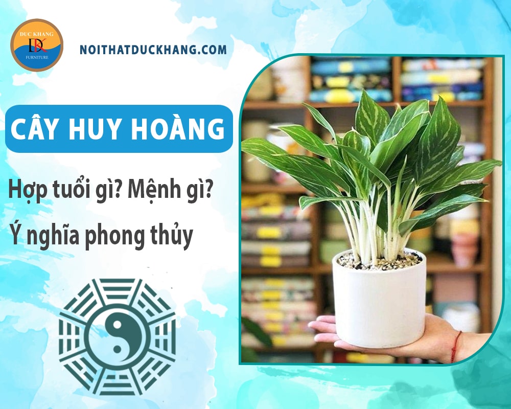 Cây huy hoàng hợp tuổi gì? Mệnh gì? Ý nghĩa phong thủy?