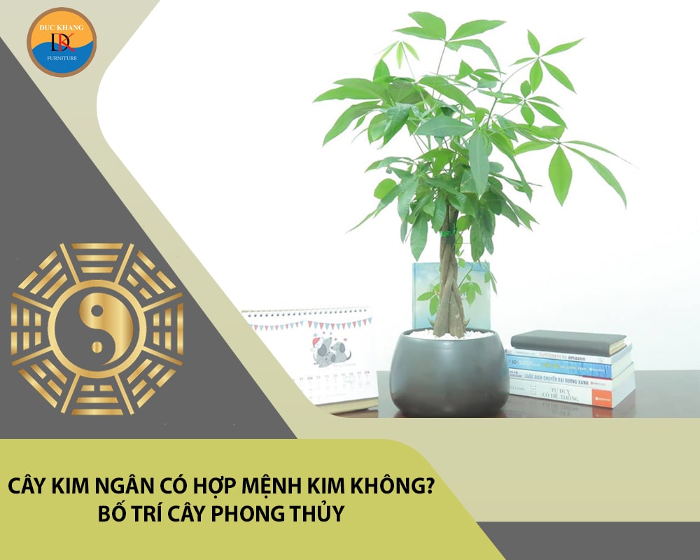 Cây kim ngân có hợp mệnh Kim không? Bố trí cây phong thủy