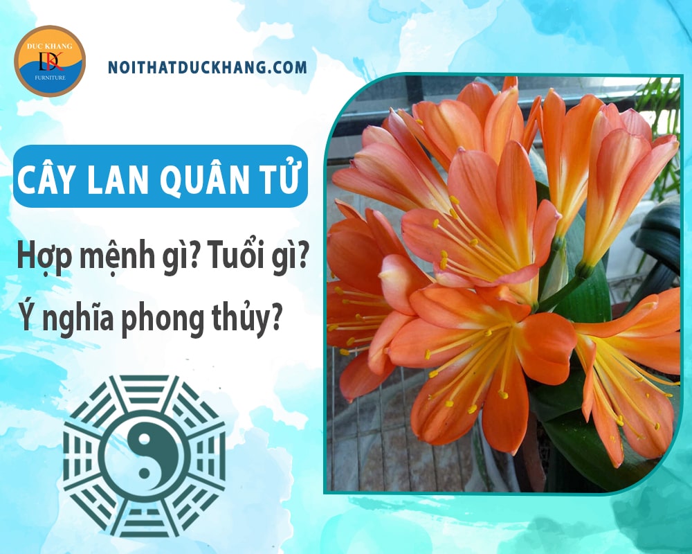 Cây lan quân tử hợp mệnh gì? Tuổi gì? Ý nghĩa phong thủy