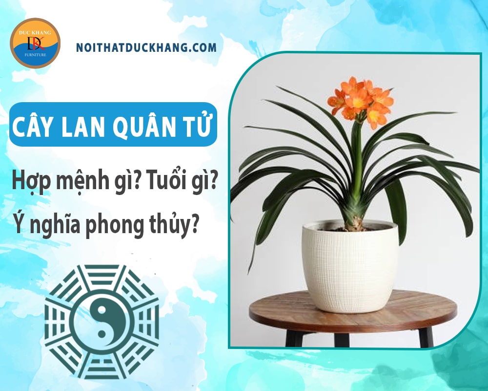 Cây lan quân tử hợp mệnh gì? Tuổi gì? Ý nghĩa phong thủy