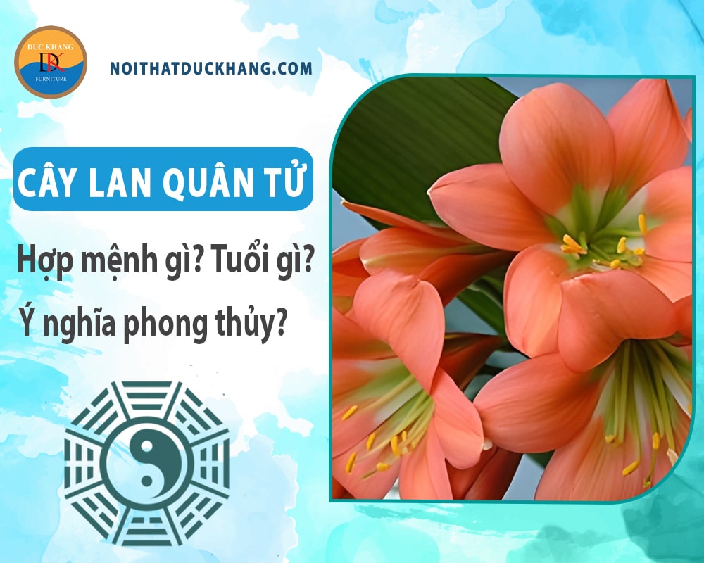 Cây lan quân tử hợp mệnh gì? Tuổi gì? Ý nghĩa phong thủy