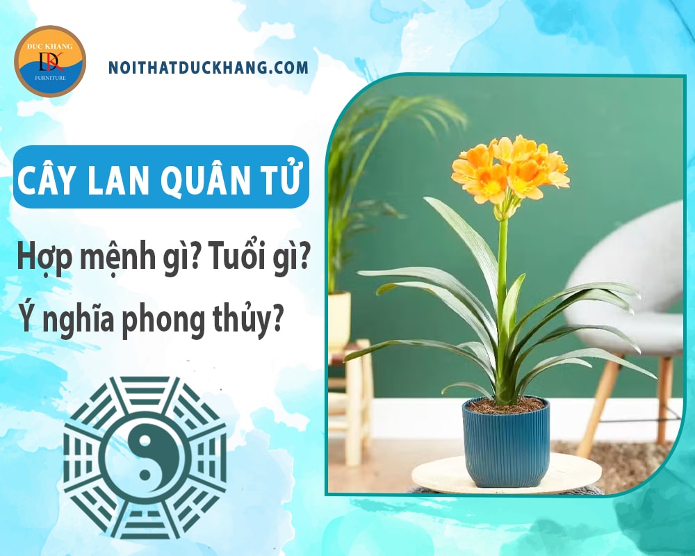 Cây lan quân tử hợp mệnh gì? Tuổi gì? Ý nghĩa phong thủy