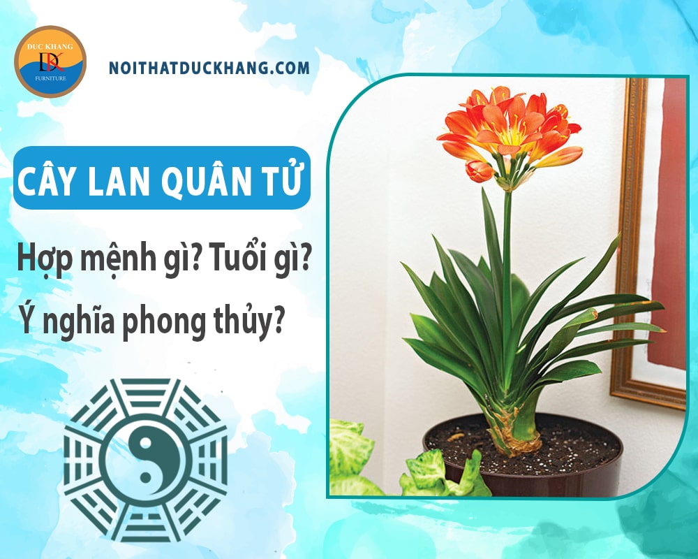 Cây lan quân tử hợp mệnh gì? Tuổi gì? Ý nghĩa phong thủy