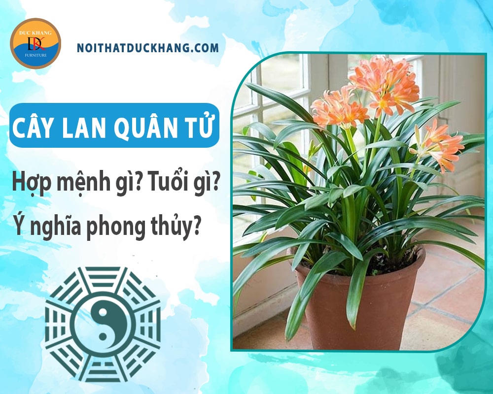 Cây lan quân tử hợp mệnh gì? Tuổi gì? Ý nghĩa phong thủy