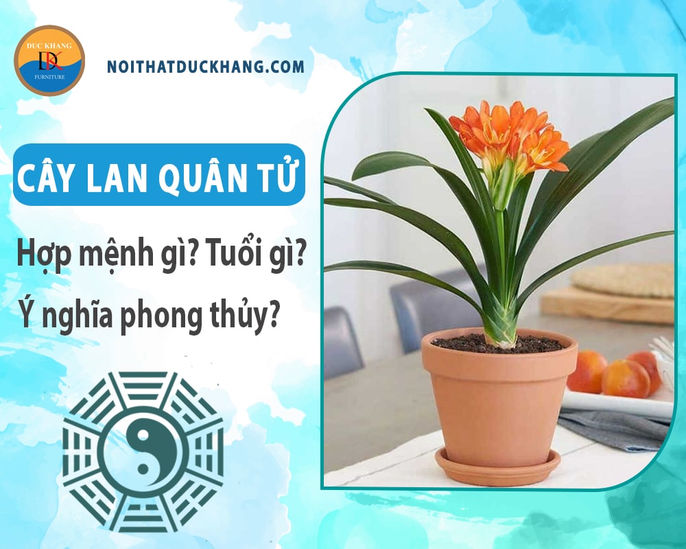 Cây lan quân tử hợp mệnh gì? Tuổi gì? Ý nghĩa phong thủy