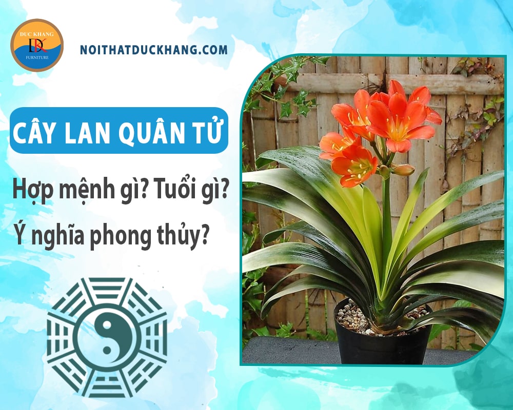 Cây lan quân tử hợp mệnh gì? Tuổi gì? Ý nghĩa phong thủy
