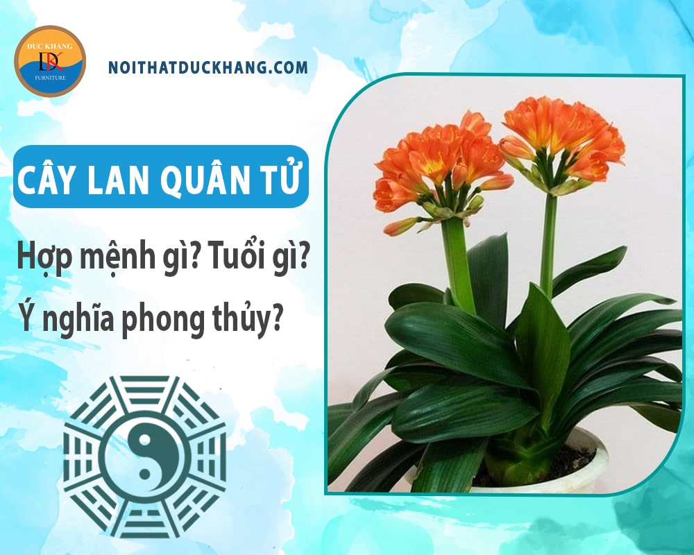 Cây lan quân tử hợp mệnh gì? Tuổi gì? Ý nghĩa phong thủy