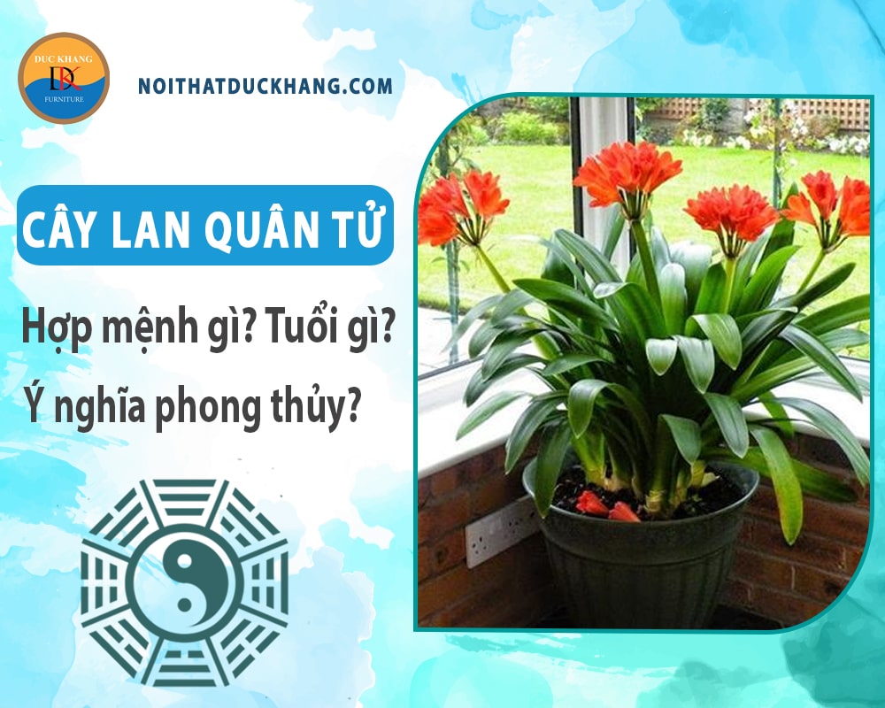 Cây lan quân tử hợp mệnh gì? Tuổi gì? Ý nghĩa phong thủy