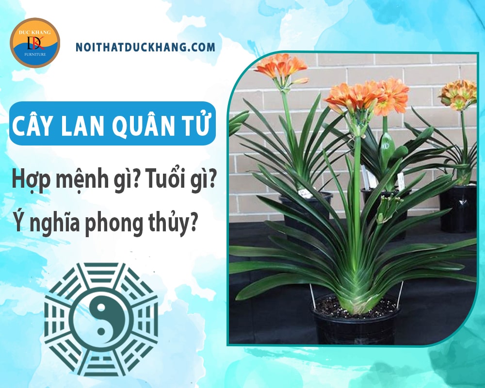 Cây lan quân tử hợp mệnh gì? Tuổi gì? Ý nghĩa phong thủy