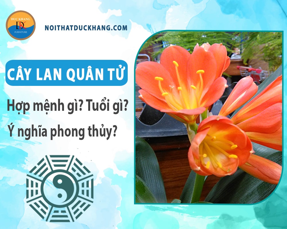 Cây lan quân tử hợp mệnh gì? Tuổi gì? Ý nghĩa phong thủy