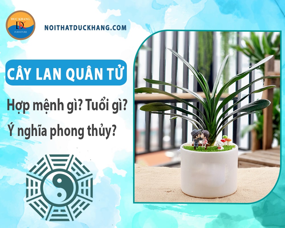 Cây lan quân tử hợp mệnh gì? Tuổi gì? Ý nghĩa phong thủy