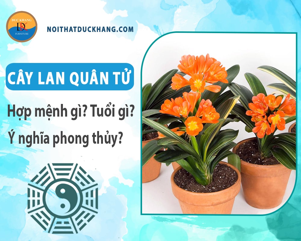Cây lan quân tử hợp mệnh gì? Tuổi gì? Ý nghĩa phong thủy