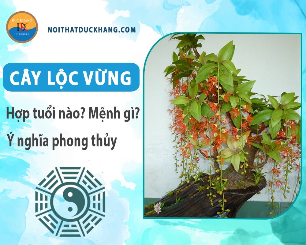 Cây lộc vừng hợp tuổi nào? Mệnh gì? Ý nghĩa phong thủy?