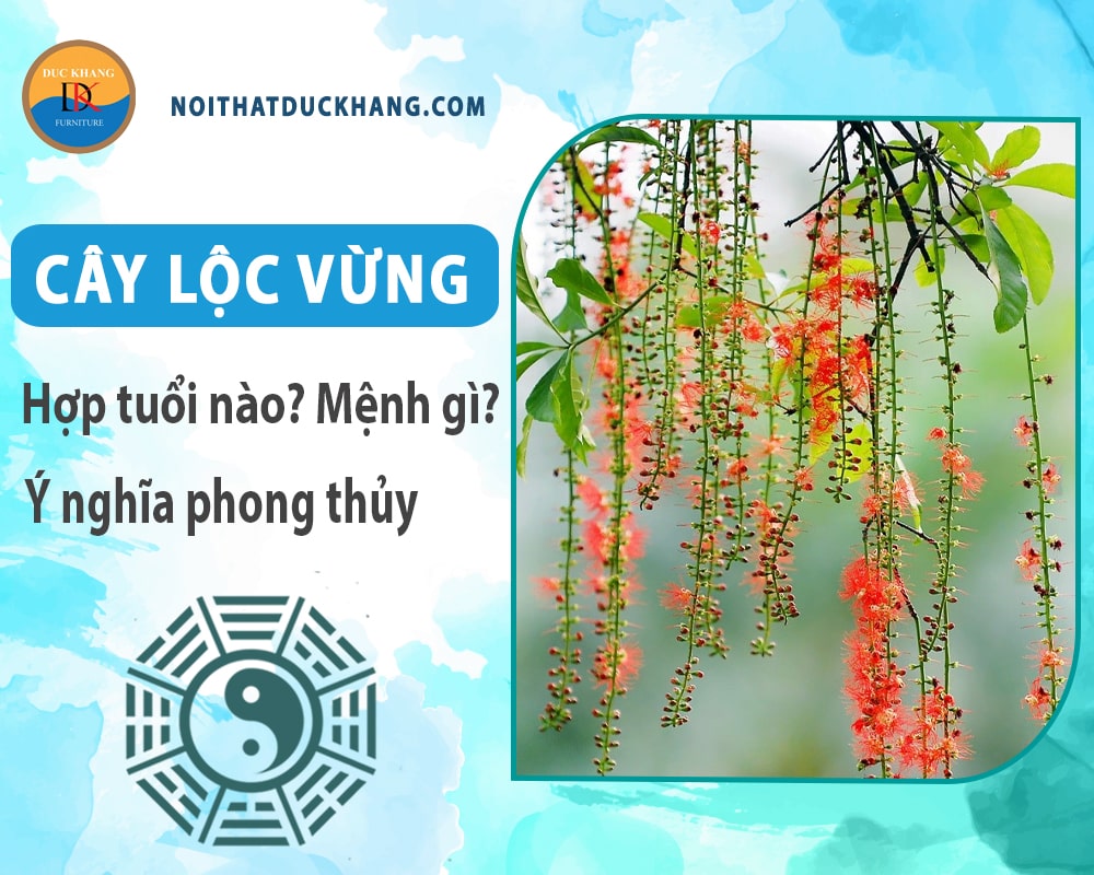 Cây lộc vừng hợp tuổi nào? Mệnh gì? Ý nghĩa phong thủy?