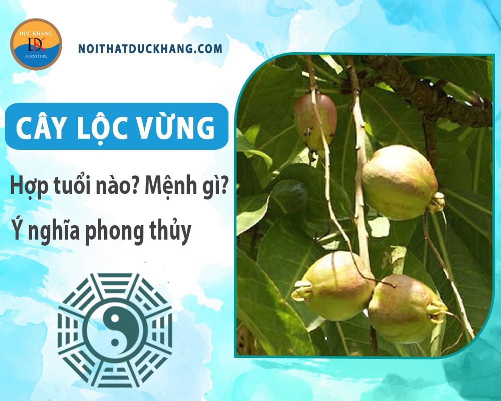 Cây lộc vừng hợp tuổi nào? Mệnh gì? Ý nghĩa phong thủy?