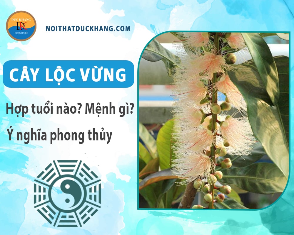 Cây lộc vừng hợp tuổi nào? Mệnh gì? Ý nghĩa phong thủy?